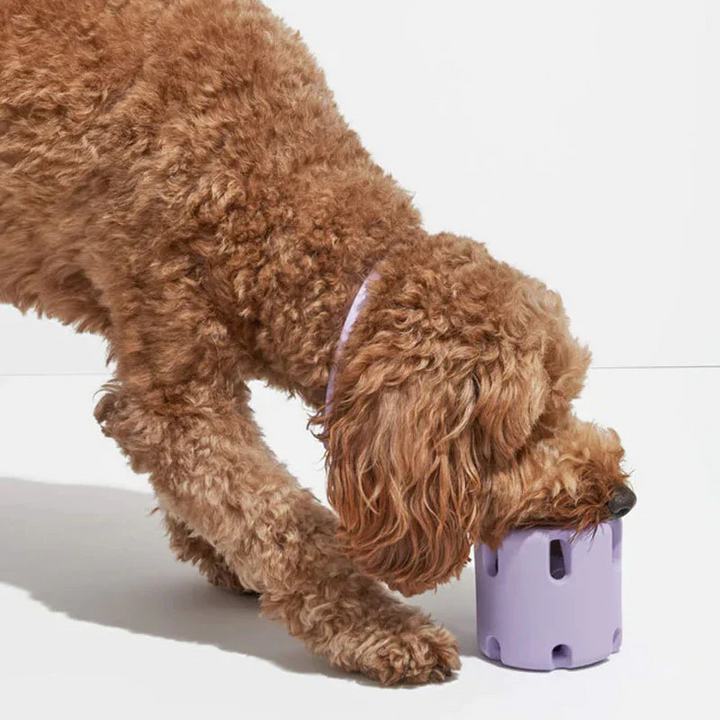 Dental Care Toys for Dogs - BounceChew Bowlift