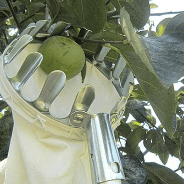 BowLift | Fruit Picker Head Basket