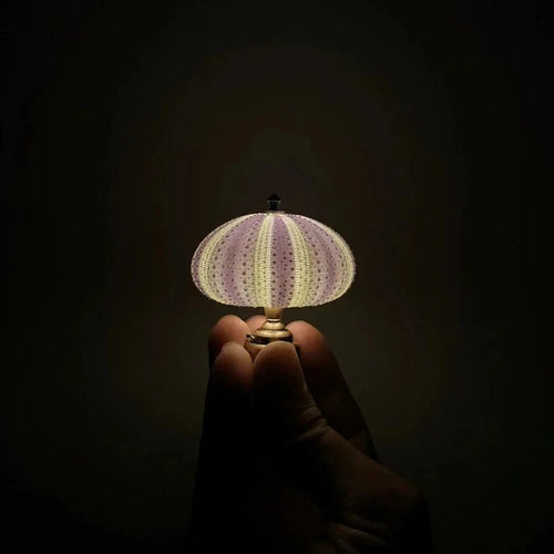 BowLift | DIY Sea Urchin Night Light - LumiUrchin