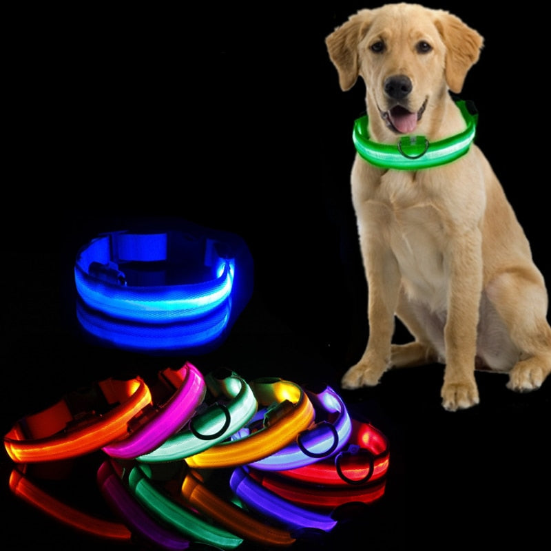 Dog collar with LED lighting - GlowCollar Bowlift