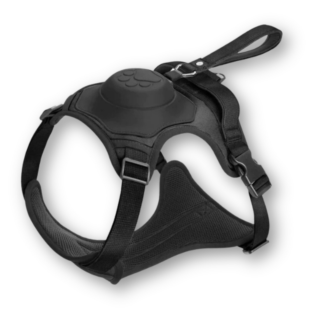 Dog Harness and Lead in One - FlexiLead Bowlift