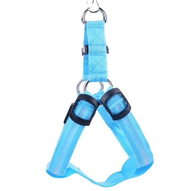 Dog harness with LED - Glow&Go Bowlift