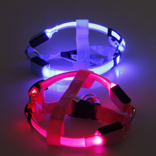 Dog harness with LED - Glow&Go Bowlift