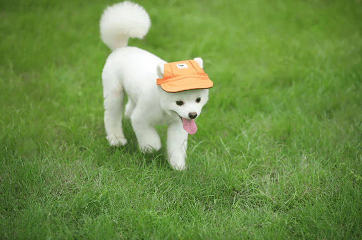 PawShade Pet Cap – Round Brim Style Bowlift