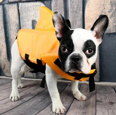 Dog Life Jacket - AquaPup Bowlift
