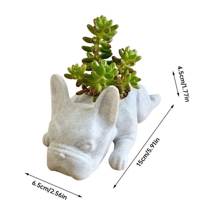 BowLift | Dog Resin Succulent Planter - Buddy