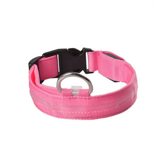 Dog collar with LED light | Bowlift