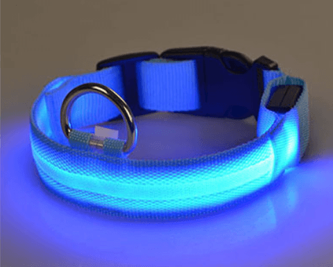 Dog collar with LED light | Bowlift