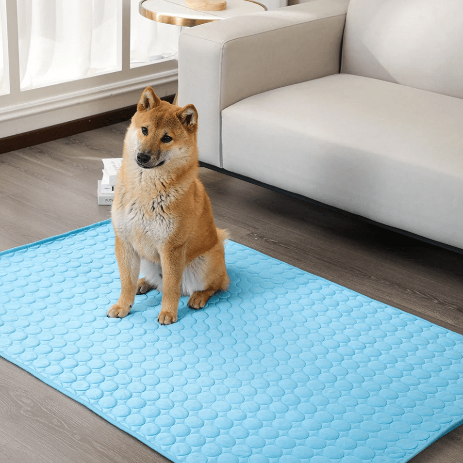 BowLift | DogCool – Self-Cooling Dog Mat for Hot Summer Days