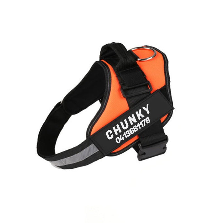BowLift | Dogsafe Harness – Reflective, No-Pull Dog Harness with Personalizable Name Tag