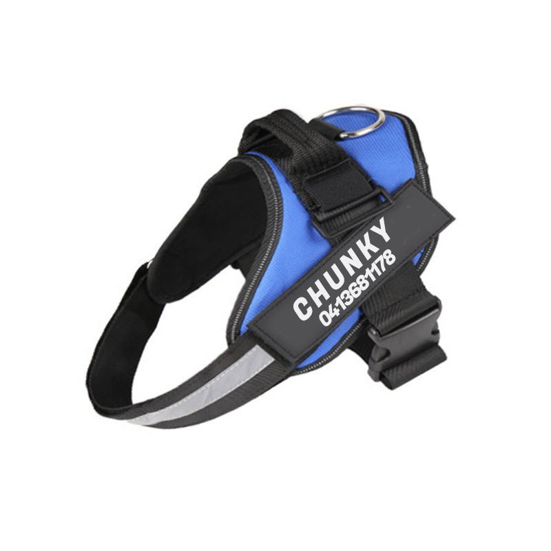BowLift | Dogsafe Harness – Reflective, No-Pull Dog Harness with Personalizable Name Tag