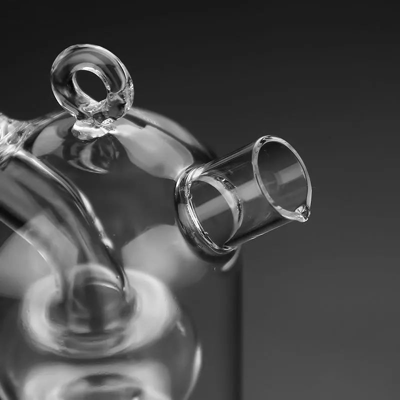 Double Glass Oiler Dual-purpose Glass Bottle Condiment Bottle | Bowlift