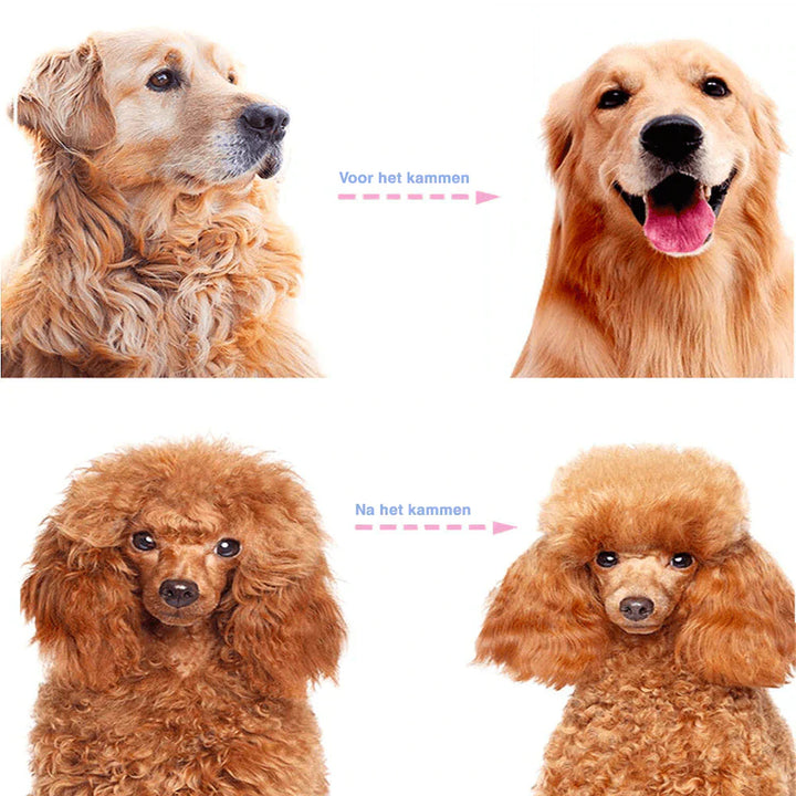 Double-Sided Hair Removal Comb for Pets - SmoothGroom Bowlift