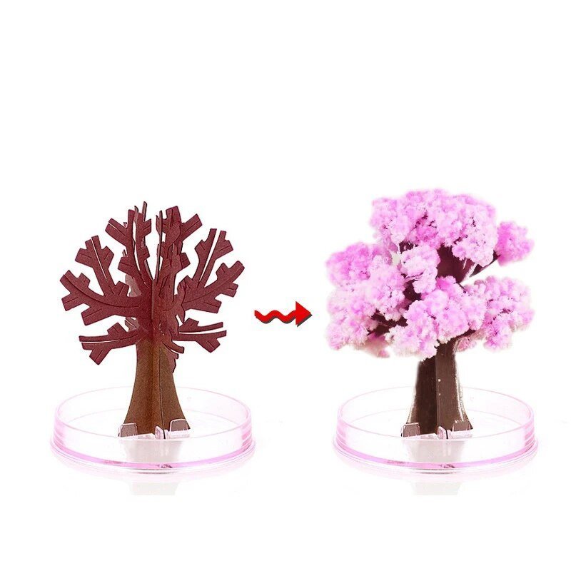 BowLift | Make your garden bloom - Grow your sakura tree!