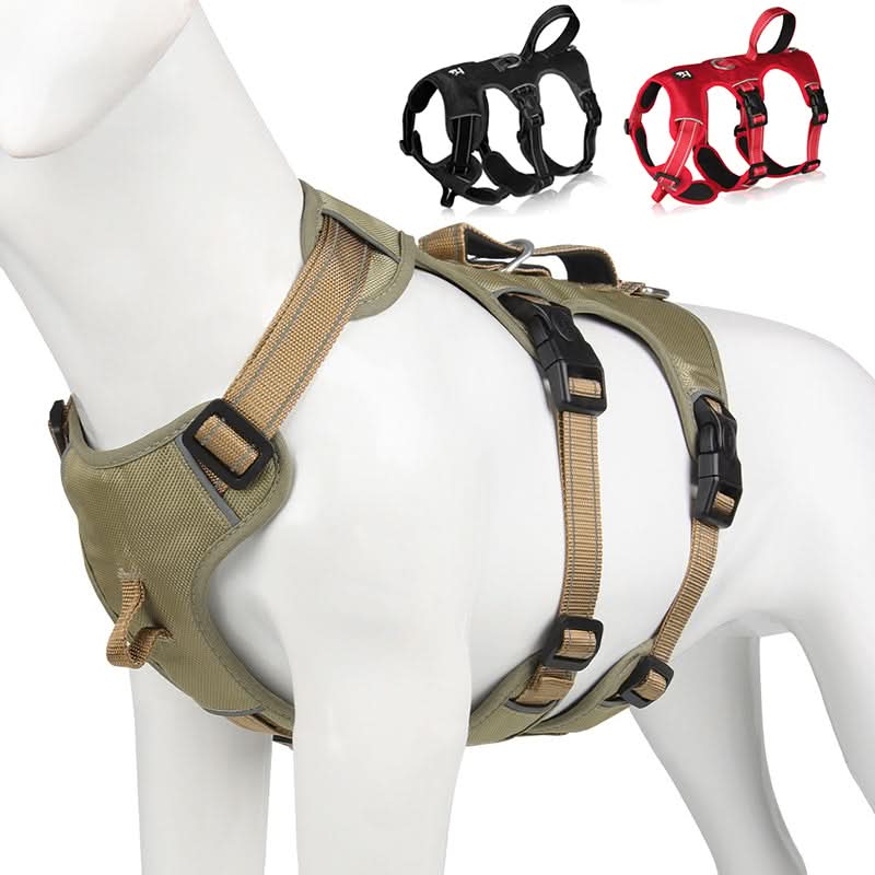 BowLift | Reflective & escape-proof for relaxed walks