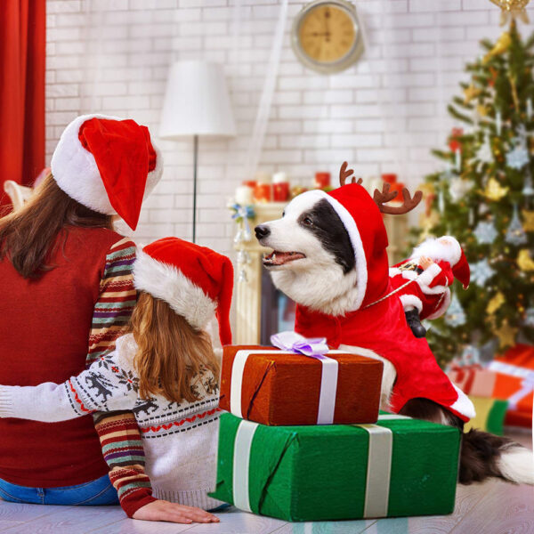 Dog Santa Claus Costume | Bowlift