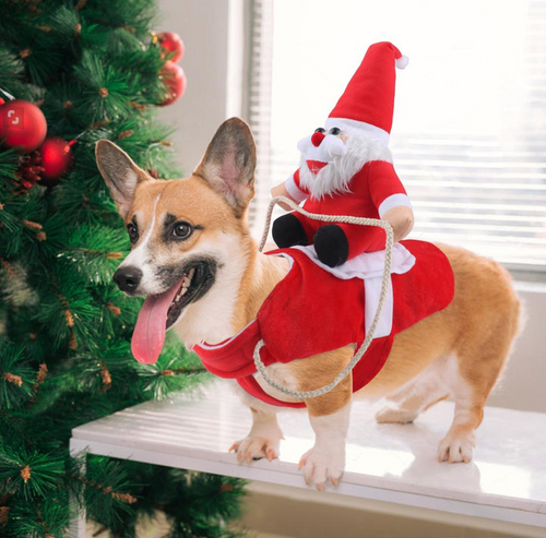 Dog Santa Claus Costume | Bowlift
