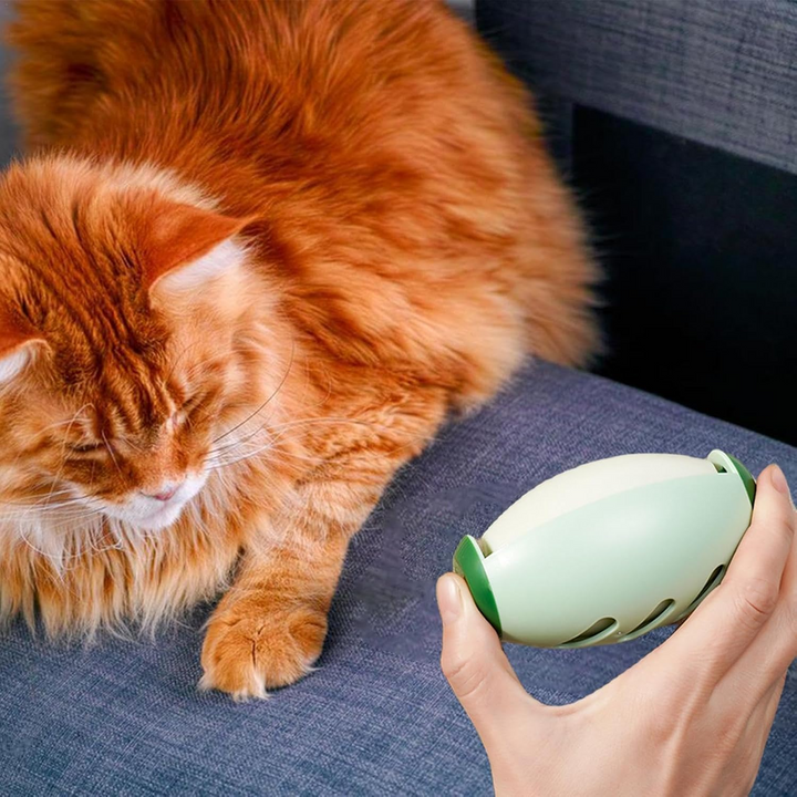 Sticky reusable pet hair remover | Mini, eco-friendly & effective | Bowlift