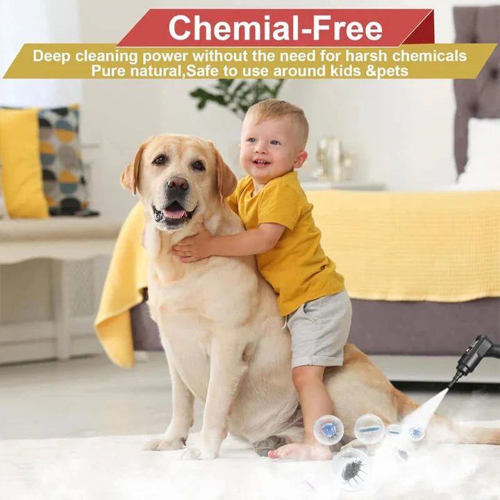 BowLift | 2500W High Pressure Steam Cleaner with Gloves