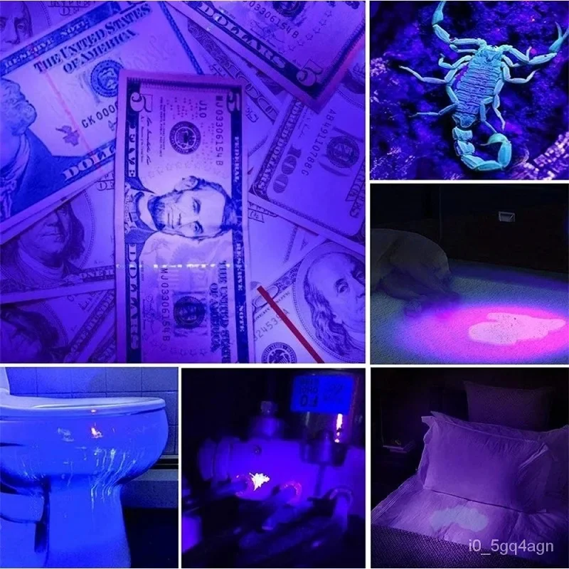 BowLift | UV Flashlight for Bed Bug Detection and Stain Finder