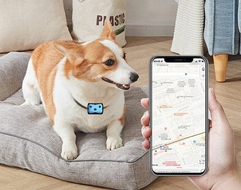 BowLift | GPS Tracker for Dogs Location Collar