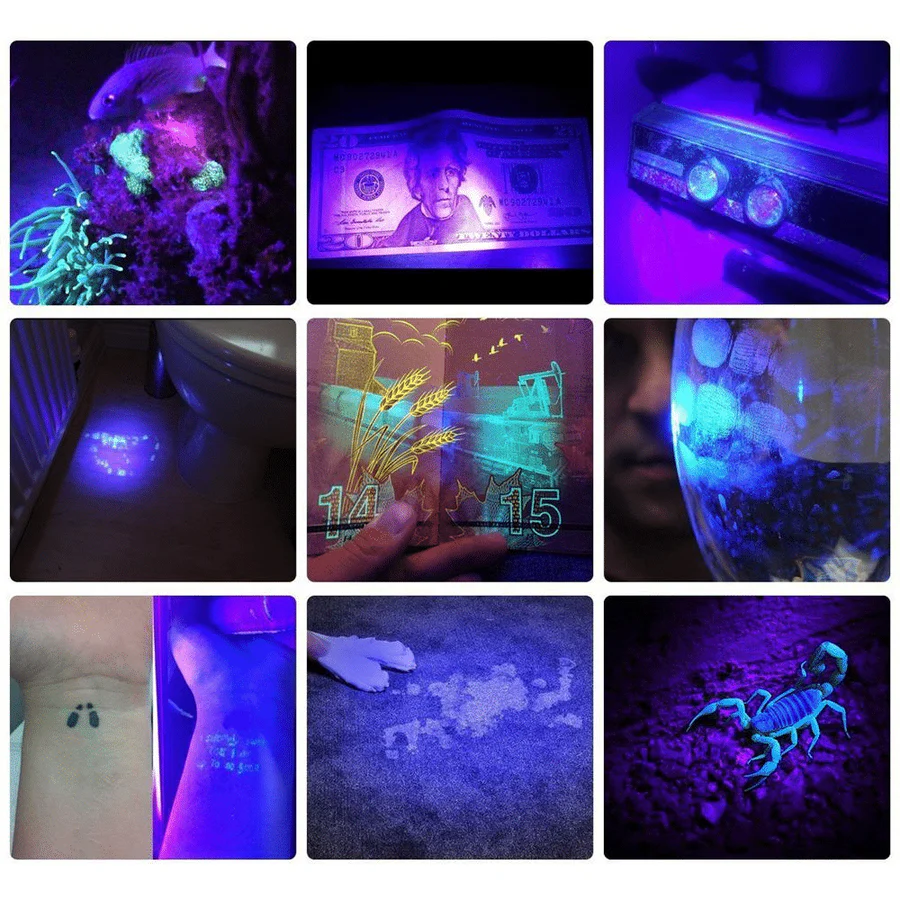 BowLift | Compact UV Blacklight Flashlight for Inspection and Cleaning Checks