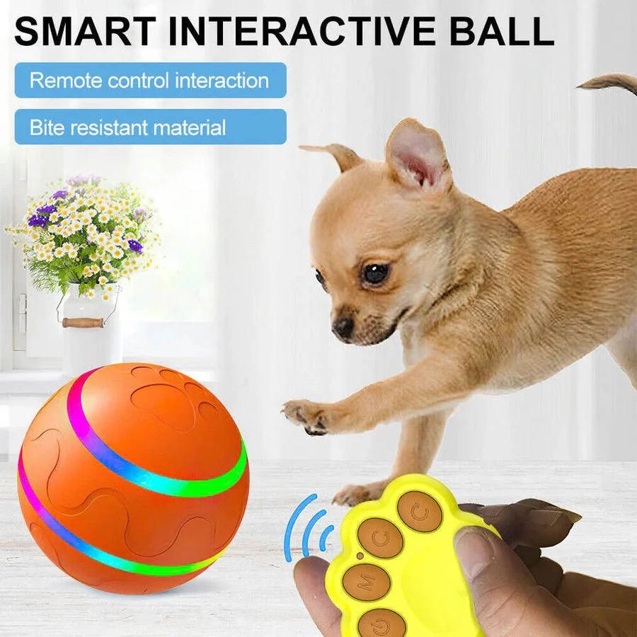 BowLift | Interactive Dog and Cat Ball Toy