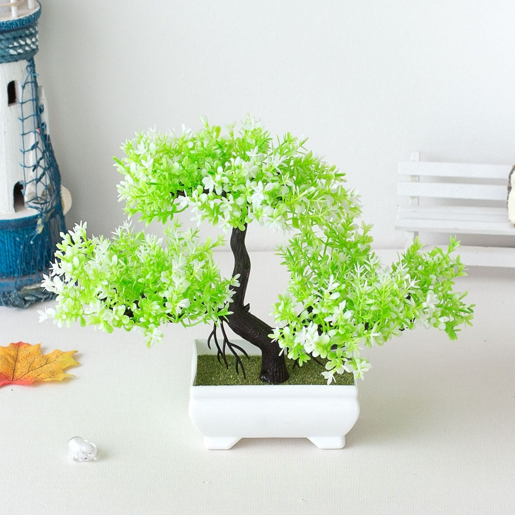 BowLift | Plant Bonsai