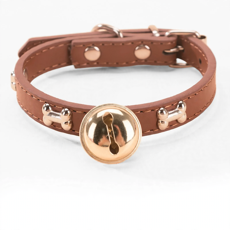 Collar for medium and large dogs with leash attachment