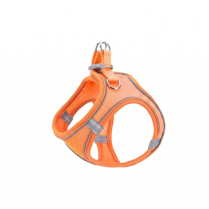 Dog harness made of fabric with leash, XS to XL