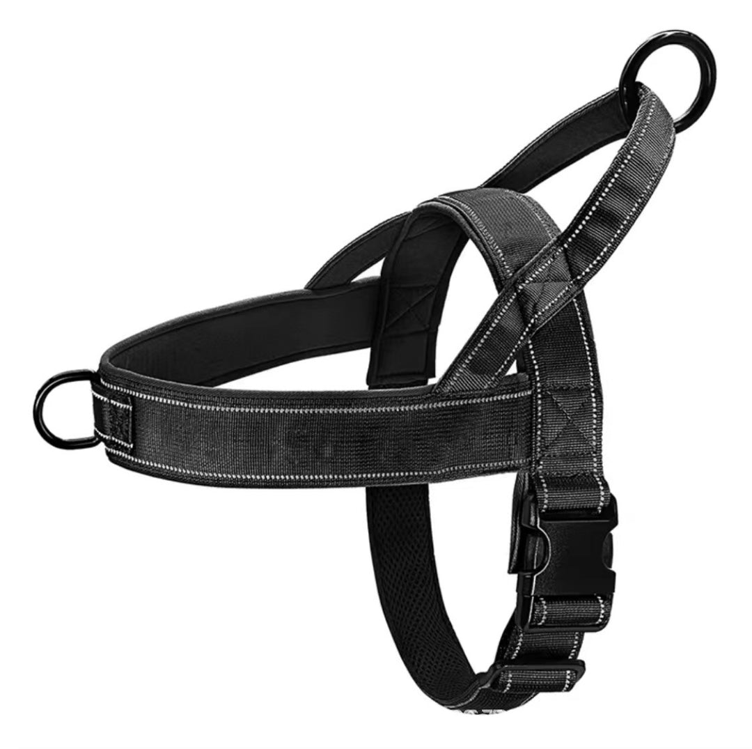 Cat harness padded, adjustable