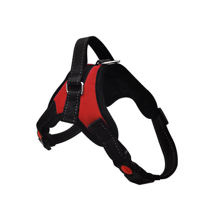 Padded dog harness with leash