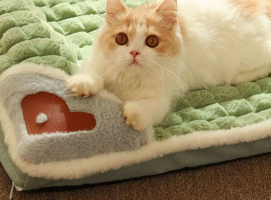 BowLift | Soft dog bed for small & medium-sized dogs