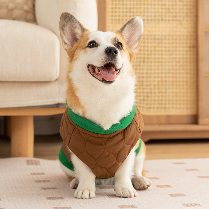Dog cotton vest for autumn and winter