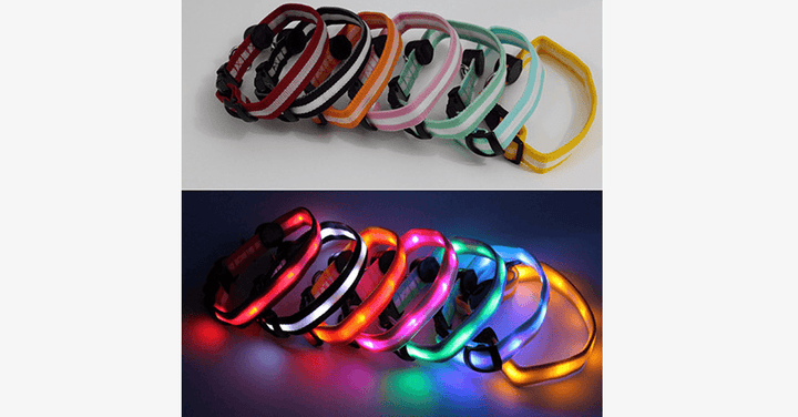 BowLift | LED Dog Collar – Keep an eye on your pet!