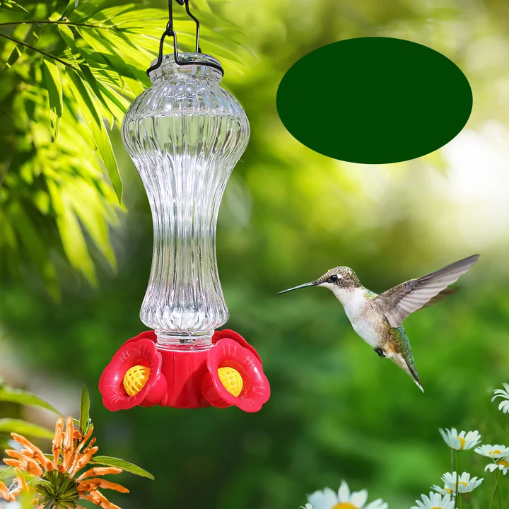 BowLift | Flowers Glass Hummingbird Feeder With Ant Moat