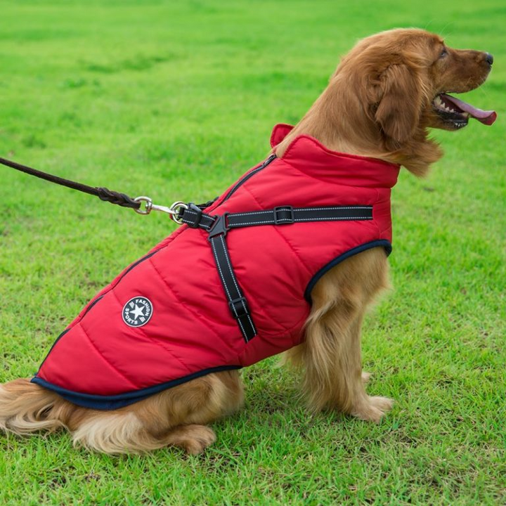Winter Dog Jacket with Harness | Bowlift