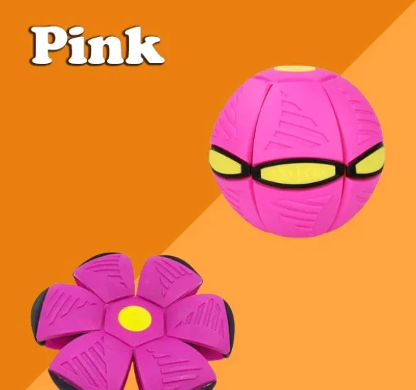 BowLift | Interactive Doggy Disc Ball