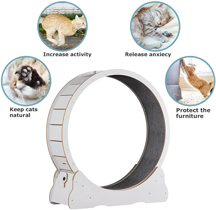 BowLift | Cat Exercise Wheel