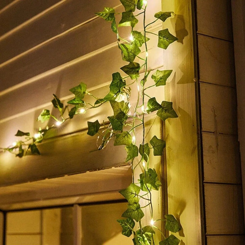 BowLift | Natural glow inspired