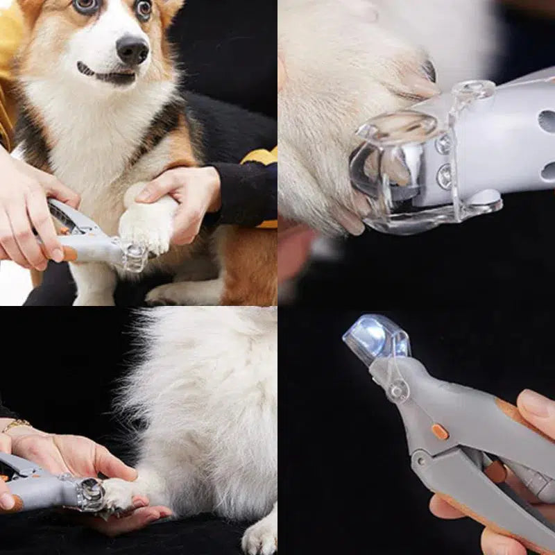 BowLift | MAX - The best nail clippers for dogs with quick sensors