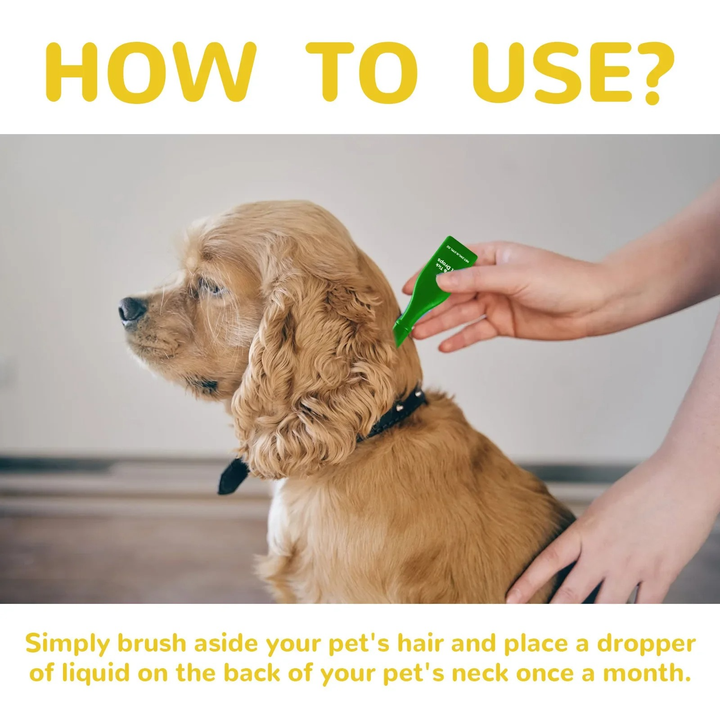 BowLift | Cat Flea Treatment At Home