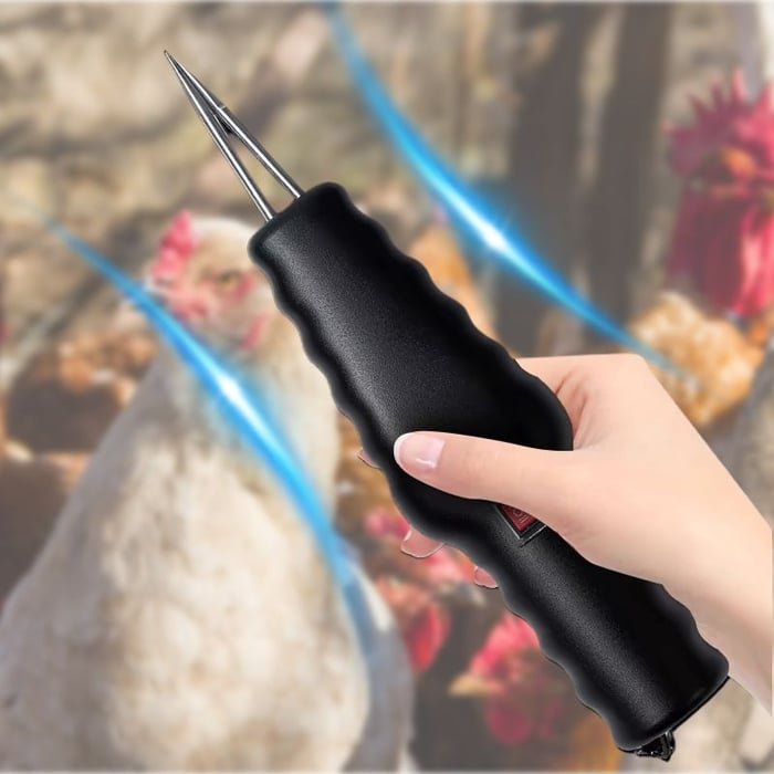 Electric Chicken Eater | Bowlift