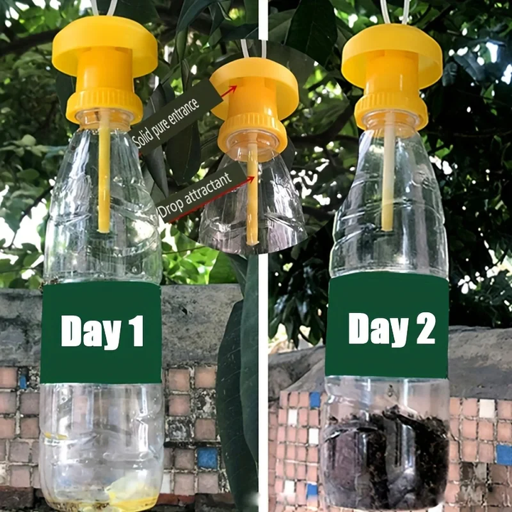 BowLift | Fruit Fly Trap with Hanging Cover