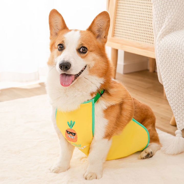 Waterproof belly protection vest for dogs
