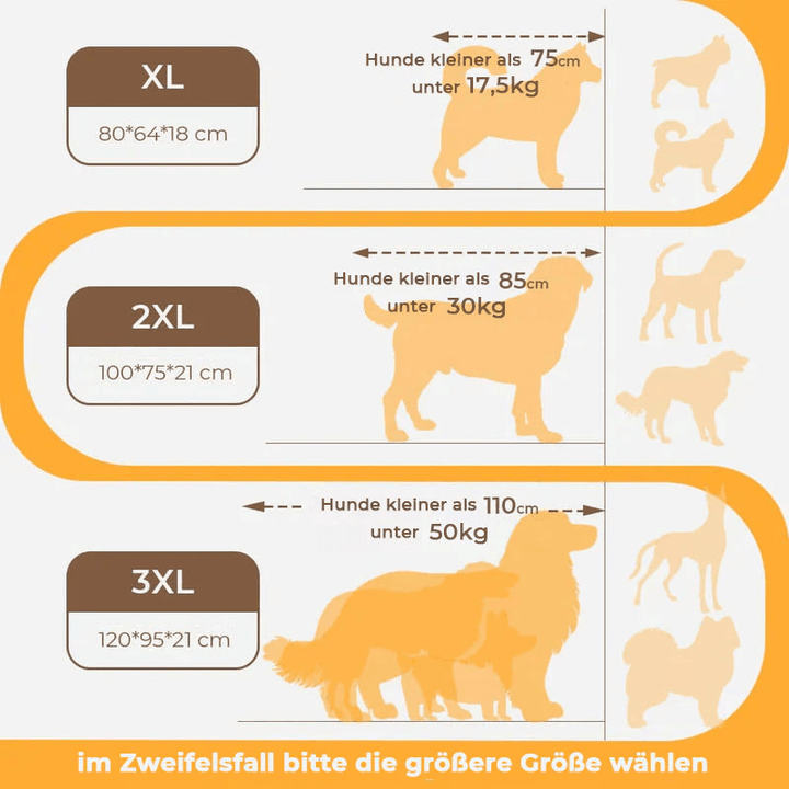 BowLift | CocoonChien | Optimal comfort for your companion