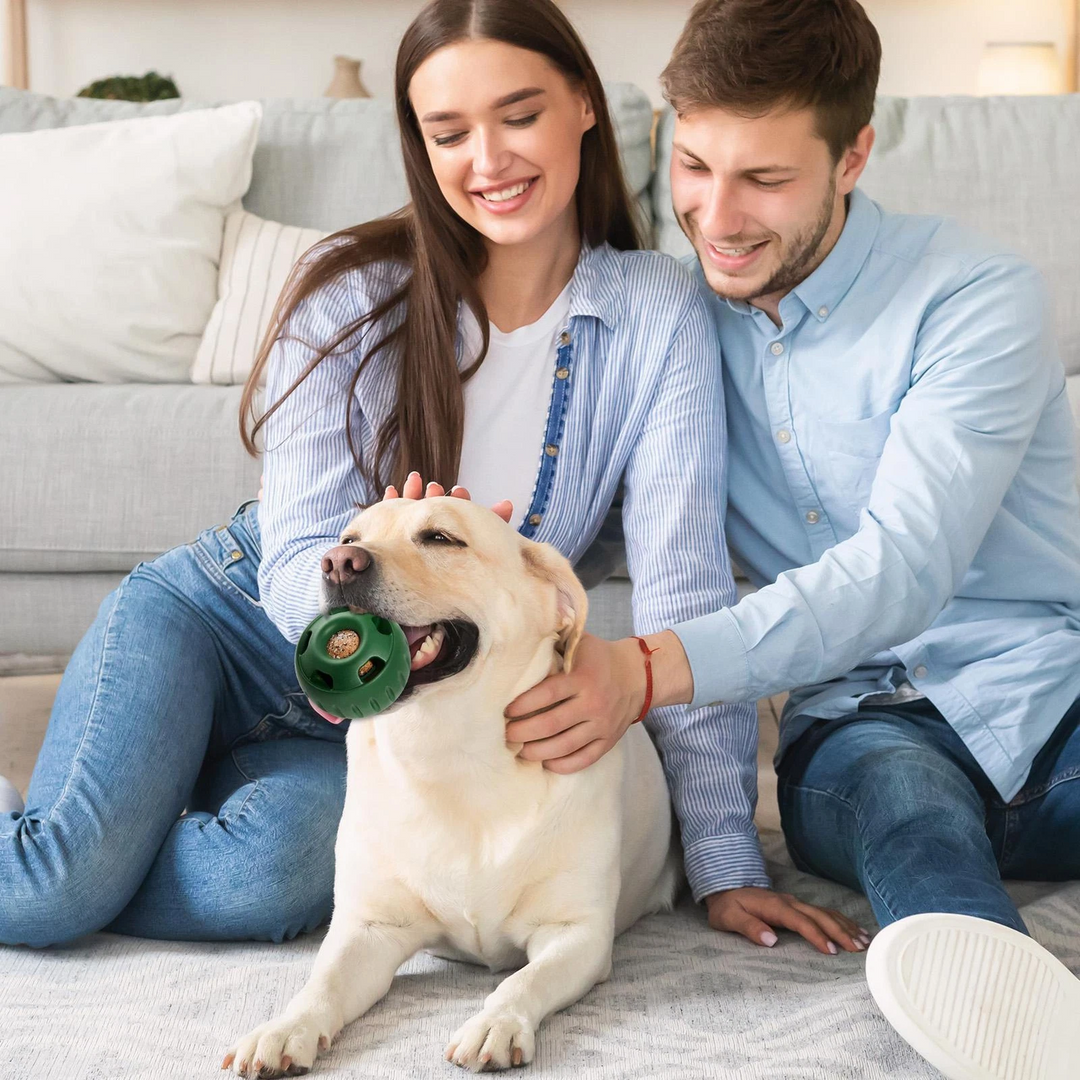 Treat-Licking Ball for Dogs | Durable, Reusable, Summer Fun | Bowlift