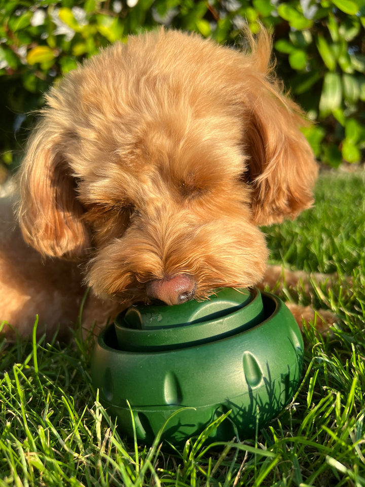 Treat-Licking Ball for Dogs | Durable, Reusable, Summer Fun | Bowlift