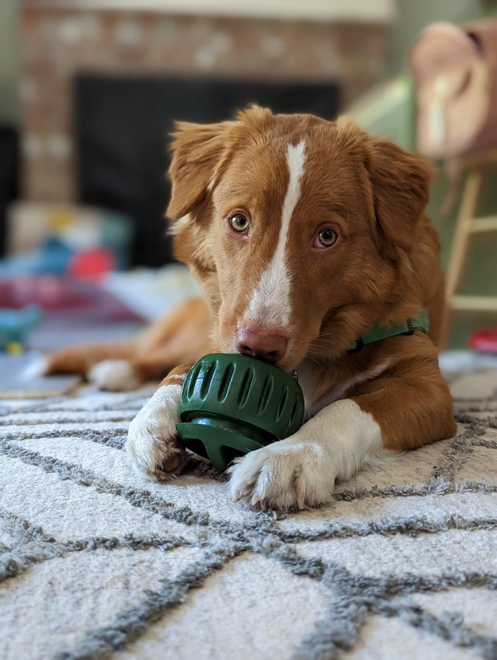 Treat-Licking Ball for Dogs | Durable, Reusable, Summer Fun | Bowlift
