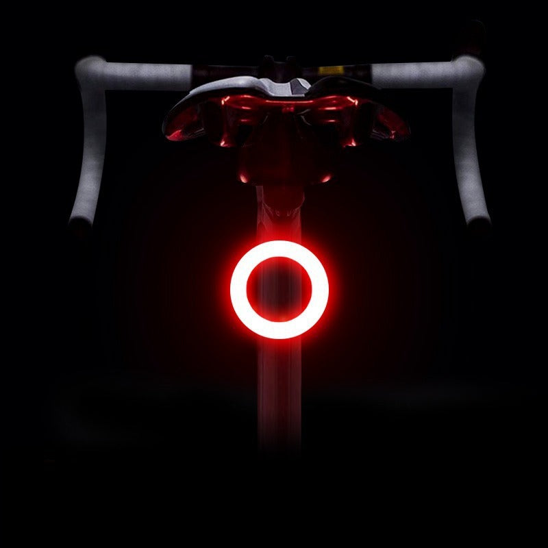 LED bicycle light with USB charging